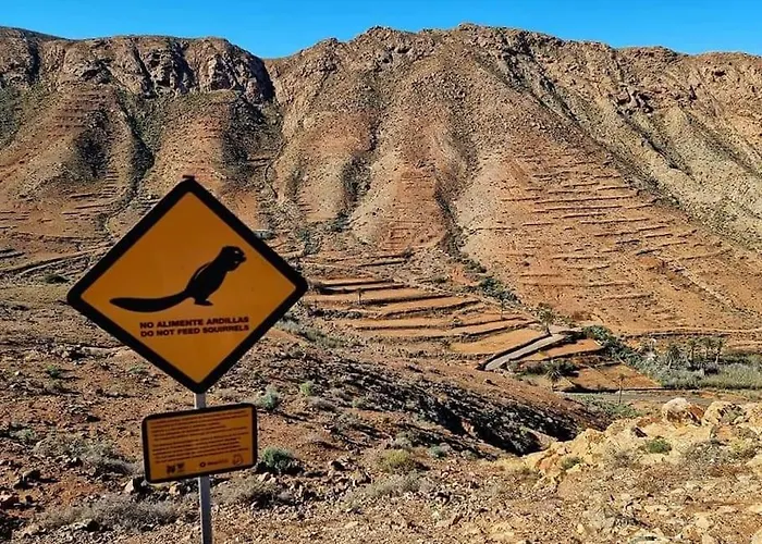 Spacieux Duplex Casa Maya * Caleta De Fuste